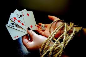 Dobro.bet Casino